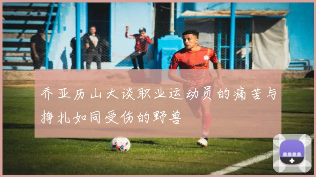 乔亚历山大谈职业运动员的痛苦与挣扎如同受伤的野兽